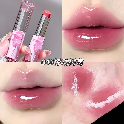 رژ لب جامد خیس خرسی کاپووینی CAPPUVINI Lipstick