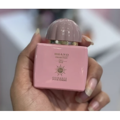 عطر آمواج گایدنس (آمواژ گایدنس) کد 511 برند کالکشن 25 میل  Amouage Guidance